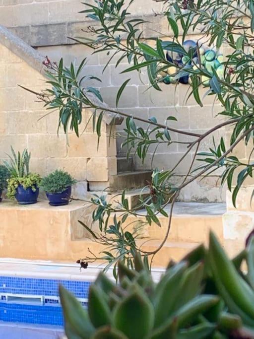 Dar Dragun: Luxury 3br Bright Spacious House & Pool Villa