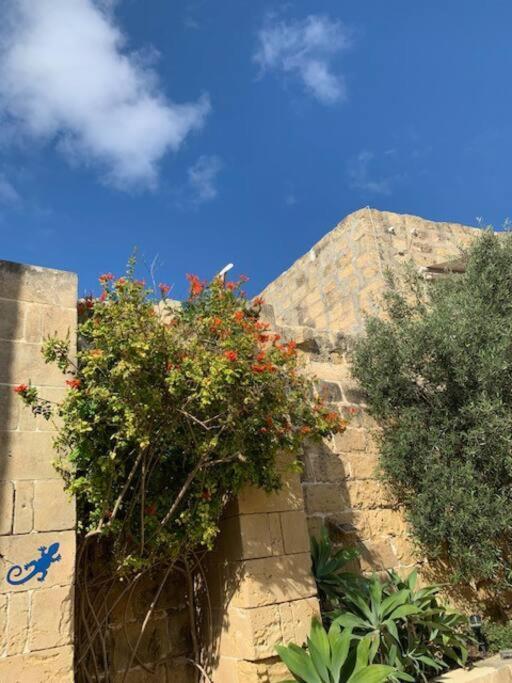 Dar Dragun: Luxury 3br Bright Spacious House & Pool Villa *